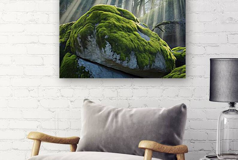 A captivating close up photograph of a large rock by Mitica Mihaila