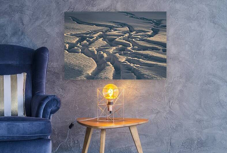A captivating photo of pristine deep cold snow wi by Mitica Mihaila