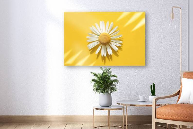 A stunning top down view of a chamomile flower 1. by Mitica Mihaila