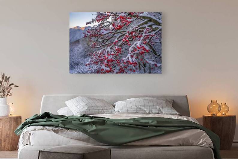 A mesmerizing photograph of a red rowan tree its by Mitica Mihaila