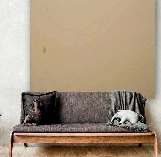 A serene and warm beige colored background 2 by Mitica Mihaila