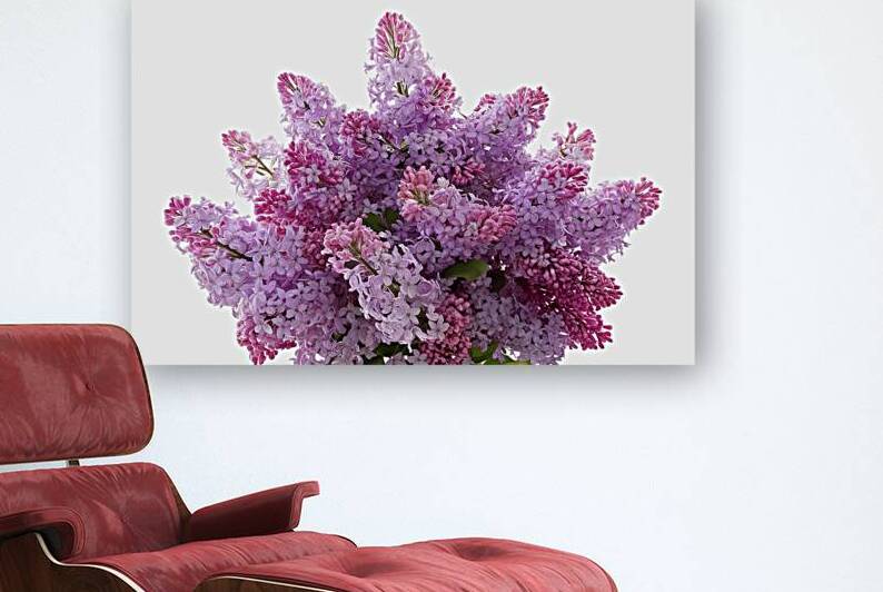 A stunning close up of a bouquet filled with vibr by Mitica Mihaila