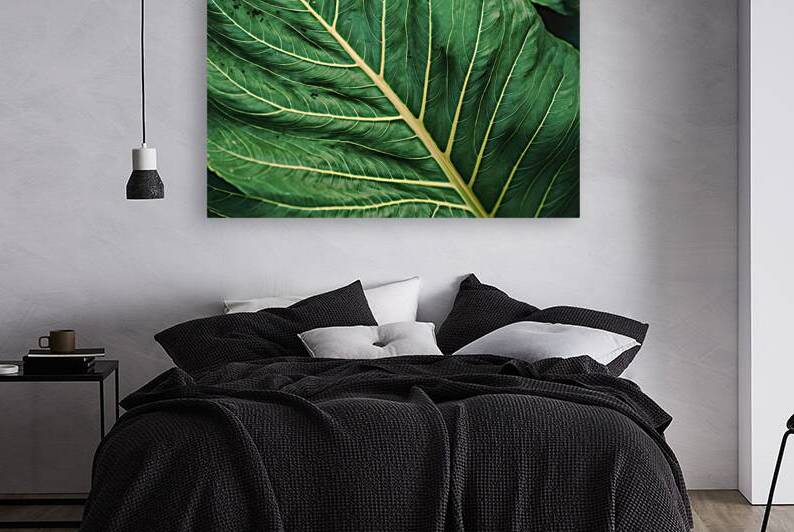 A stunning close up photograph of a lush green le by Mitica Mihaila