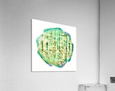 10  Meditation  10  Acrylic Print