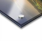 Bolgheri vineyards and trees in a foggy sunset Acrylic print