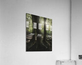 Three trees in the forest Acrylic Print