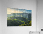 Prosecco vineyards landscape Acrylic Print