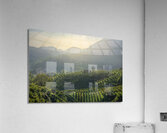 Prosecco Hills vineyards at sunset Acrylic Print