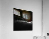 Lunar II Acrylic Print