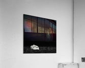 Lunar V Acrylic Print