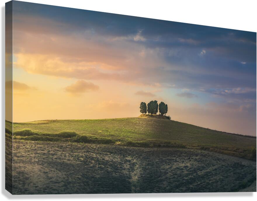 Cypress grove sunset Canvas Print