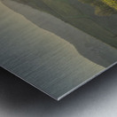 Chianti vineyards landscape at sunset. Tuscany Metal print