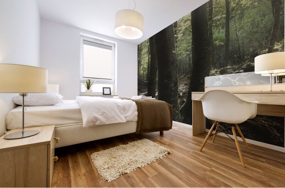 Three trees in the forest Mural print