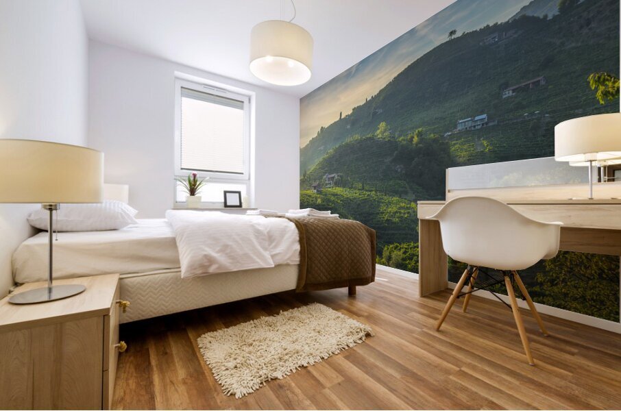 Prosecco vineyards landscape Mural print
