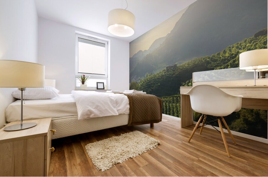 Prosecco Hills vineyards at sunset Mural print