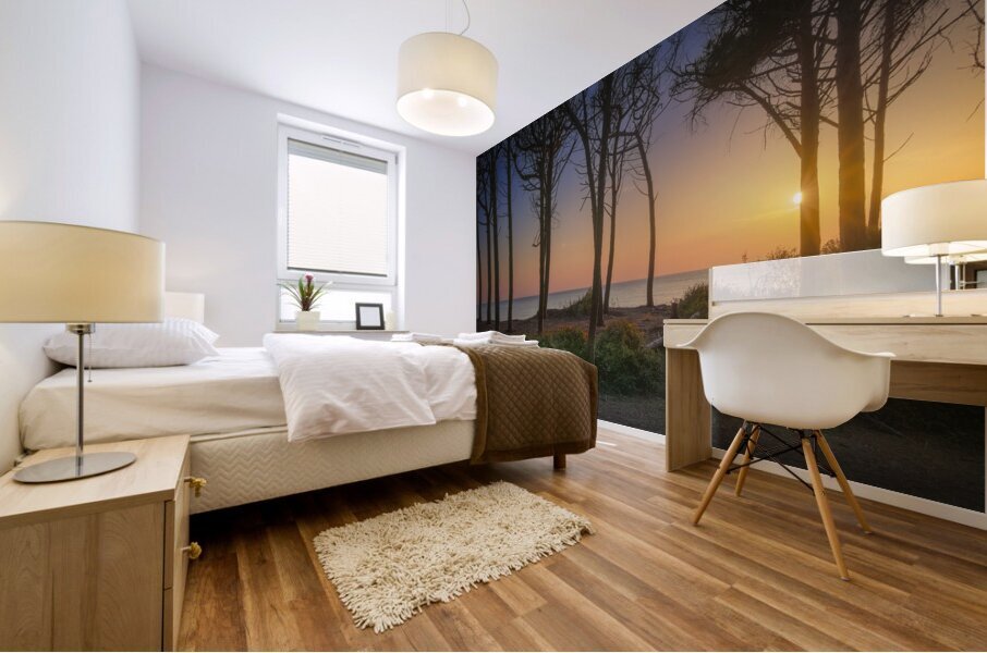 Pine trees and sea at sunset in Tuscany Mural print