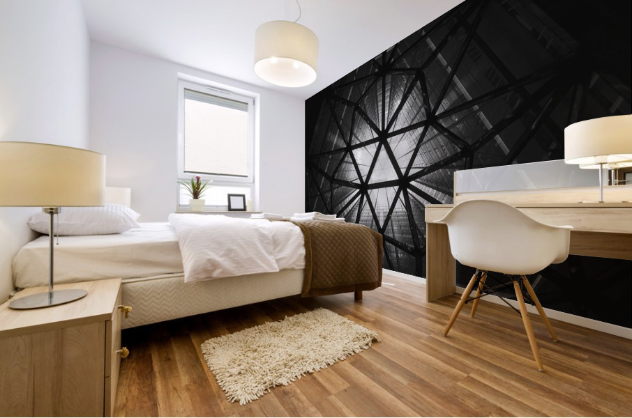 Iron Web Mural print