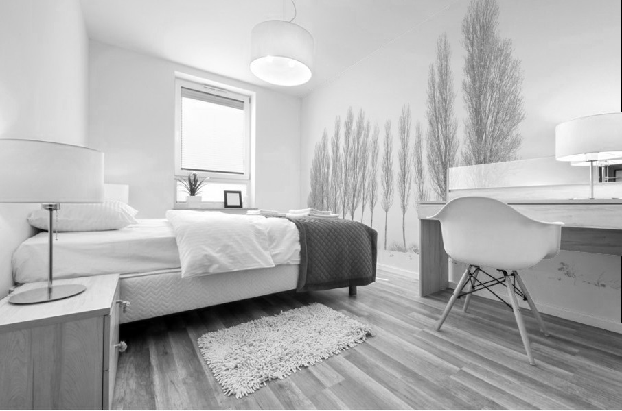 13 Trees Under the Snowfall Mural print