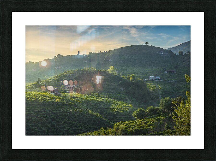Prosecco vineyards landscape Picture Frame print