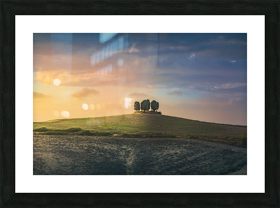 Cypress grove sunset Picture Frame print