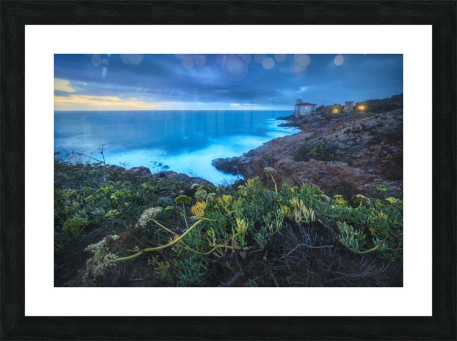 Boccale castle on the rocks rough sea and a plant Picture Frame print