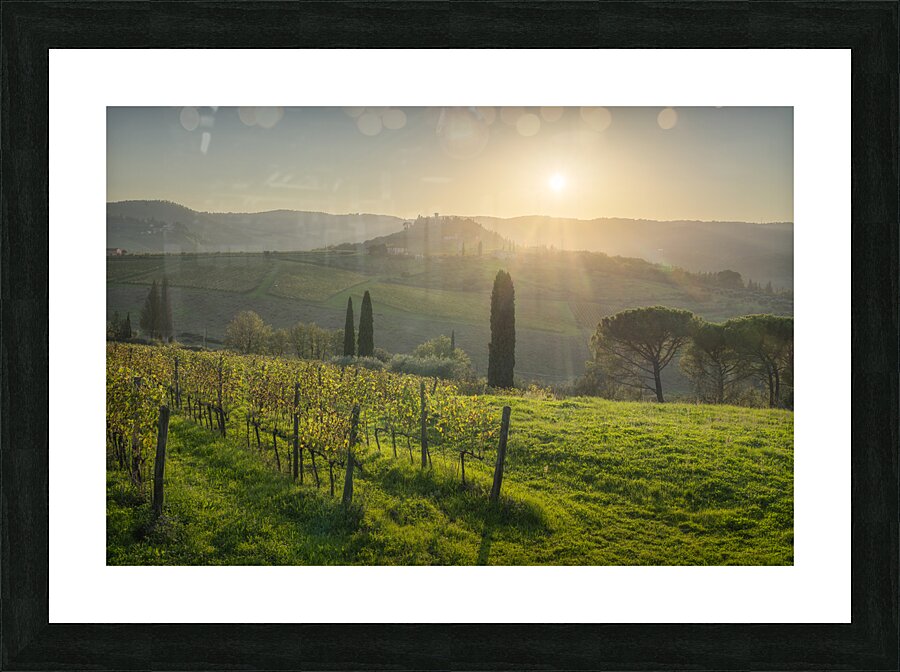 Chianti vineyards landscape at sunset. Tuscany Picture Frame print
