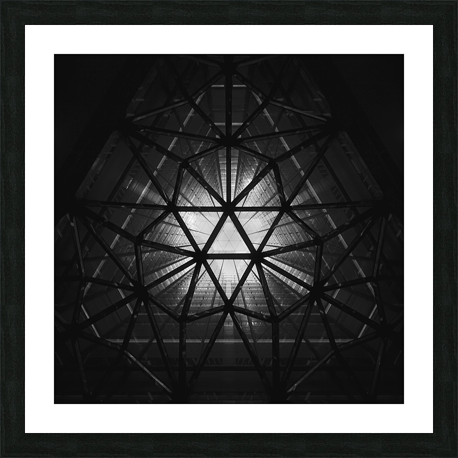 Iron Web Picture Frame print