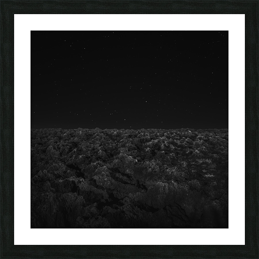Lunar VII Picture Frame print