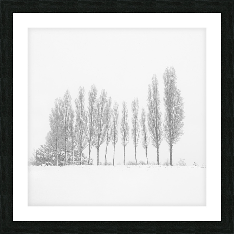 13 Trees Under the Snowfall Picture Frame print