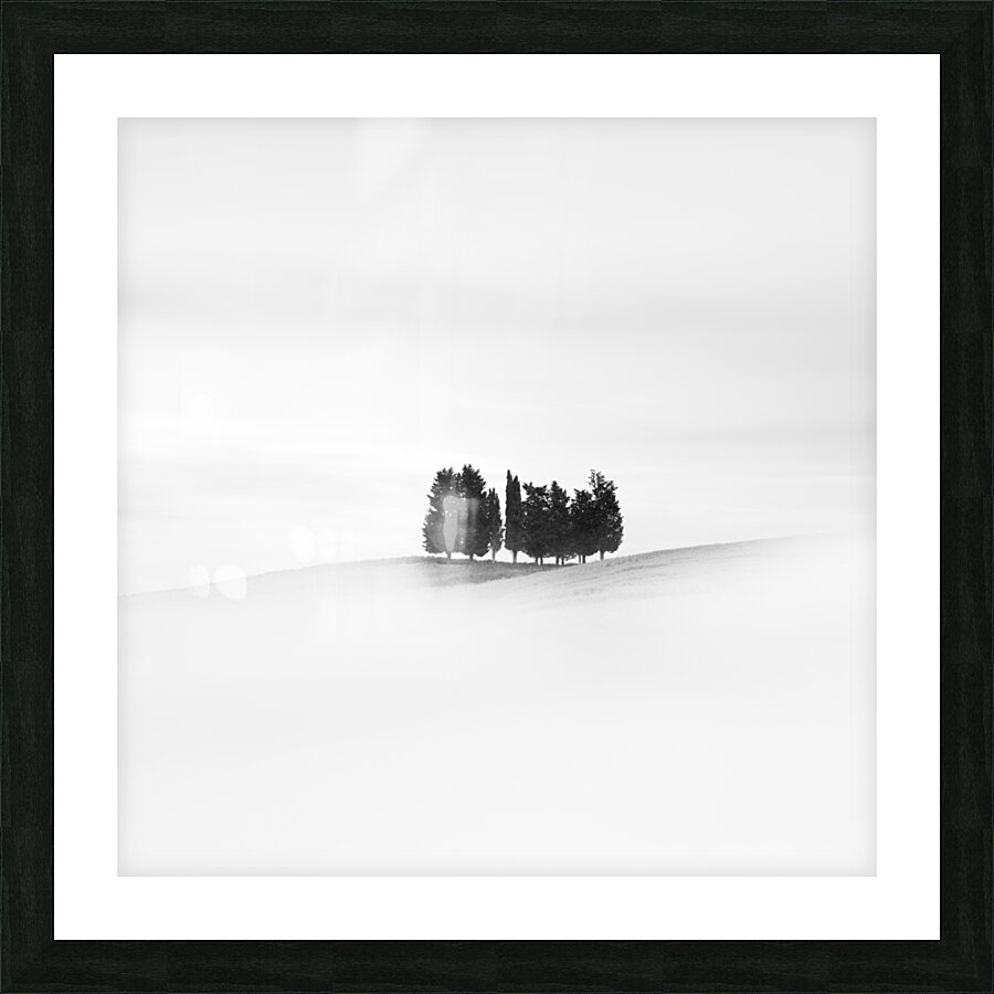 Eleven Trees Picture Frame print