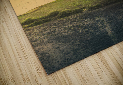 Cypress grove sunset Stefano Orazzini puzzle
