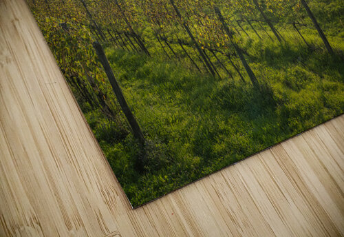 Chianti vineyards landscape at sunset. Tuscany Stefano Orazzini puzzle