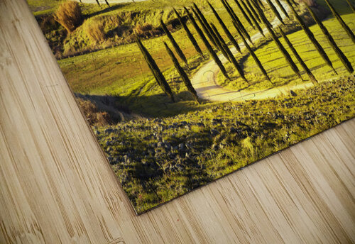 Crete Senesi sunset landscape. Tuscany Stefano Orazzini puzzle