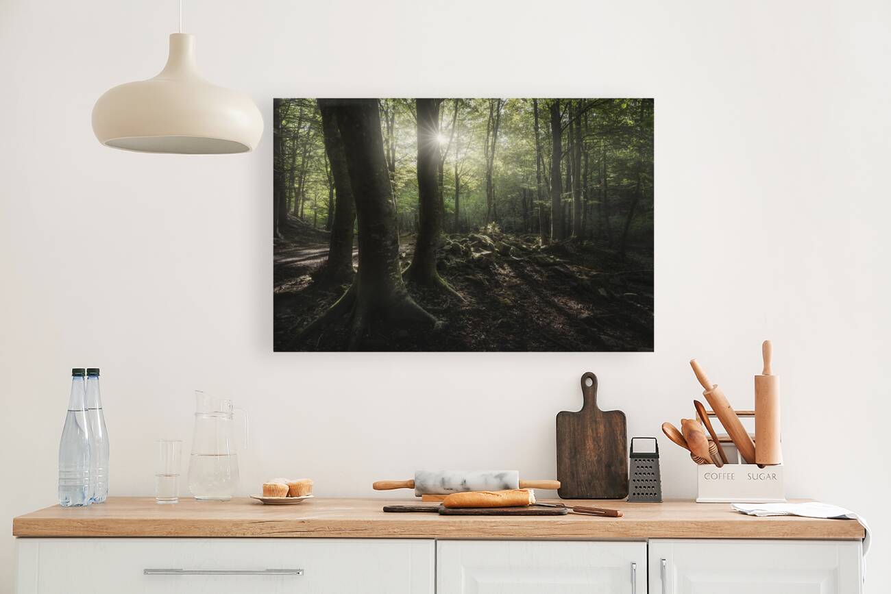 Three trees in the forest Reproduction