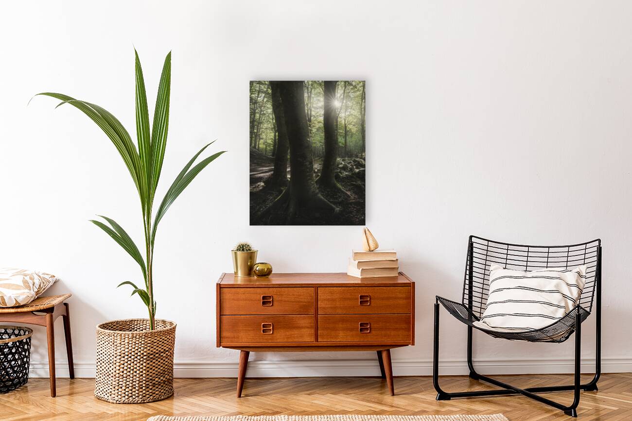 Three trees in the forest Reproduction