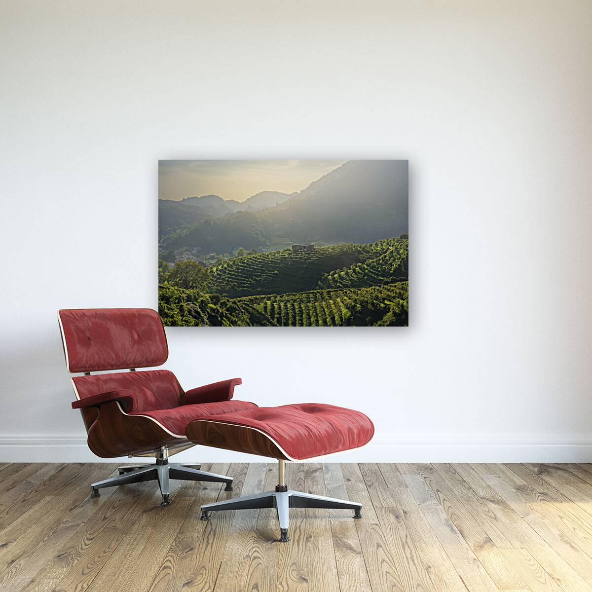 Prosecco Hills vineyards at sunset Reproduction