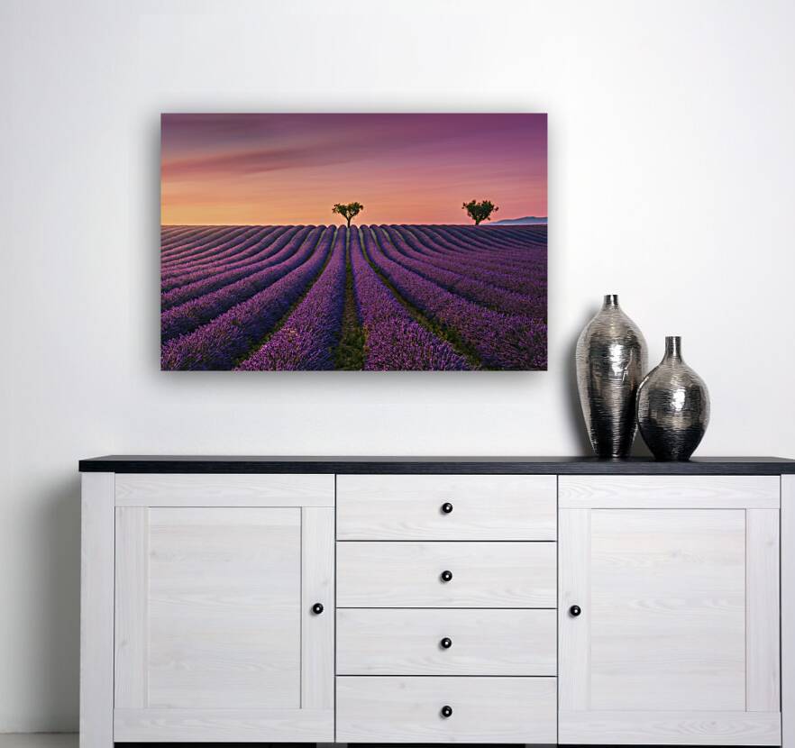 Lavender fields at sunset Valensole Reproduction