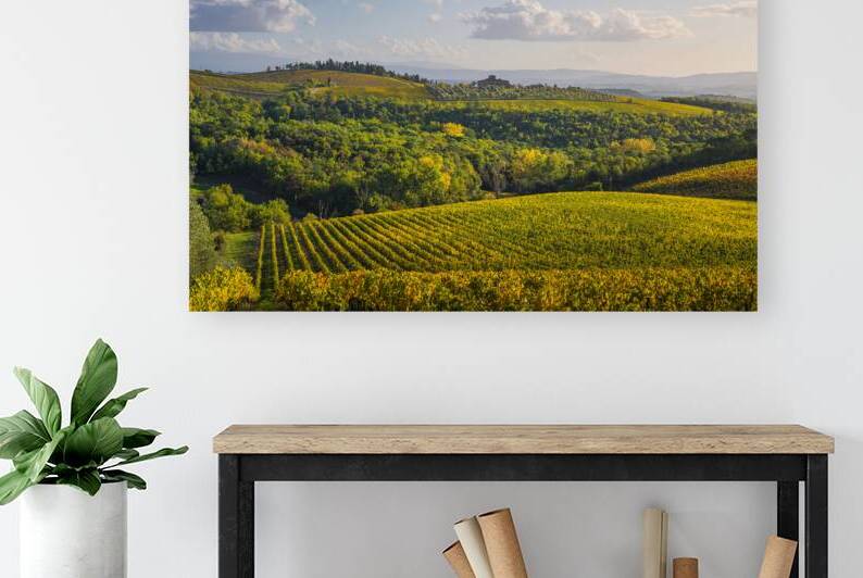 Gaiole in Chianti vineyards and panorama at sunset. Tuscany by Stefano Orazzini