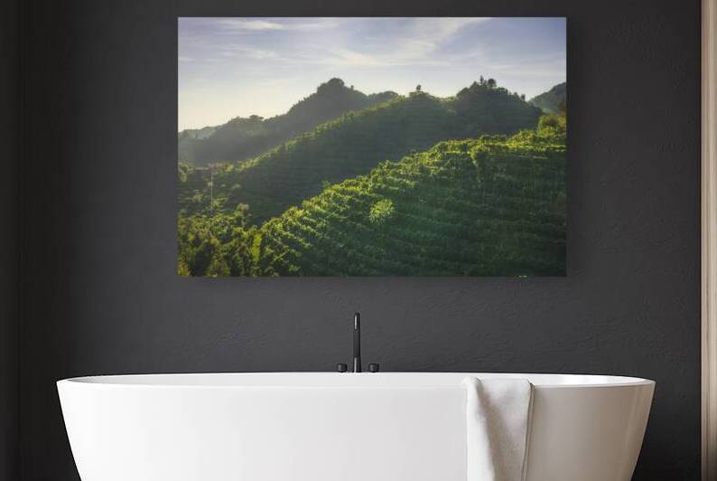 Vineyards of Prosecco hills at sunset. Italy by Stefano Orazzini