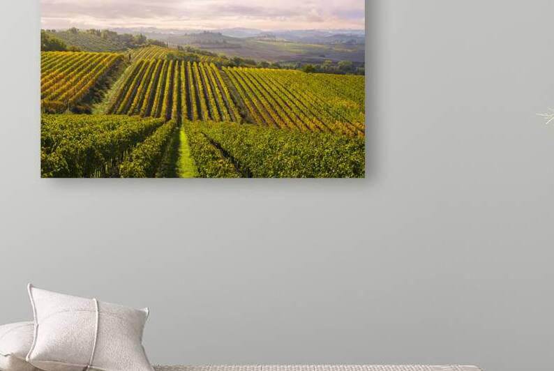Vineyards landscape in Castellina in Chianti. Tuscany Italy by Stefano Orazzini