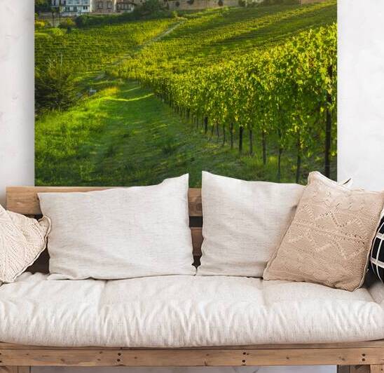 Neive village and Langhe vineyards. Italy. by Stefano Orazzini