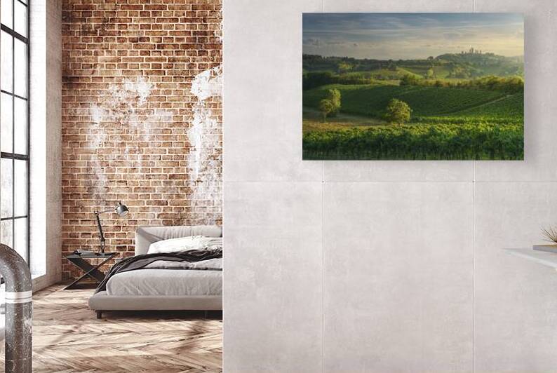 Vineyards in the San Gimignano countryside. Italy by Stefano Orazzini