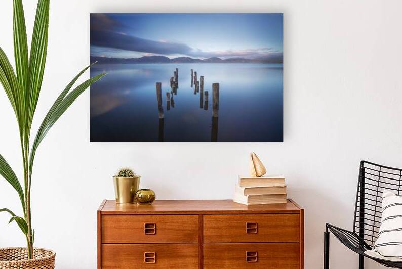Poles in the lake remains of a pier. Lake Massaciuccoli by Stefano Orazzini