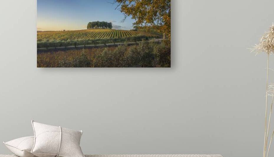Autumn in Chianti region by Stefano Orazzini