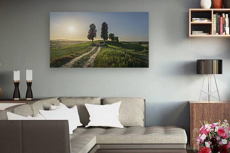 Two trees on the route of the via Francigena by Stefano Orazzini