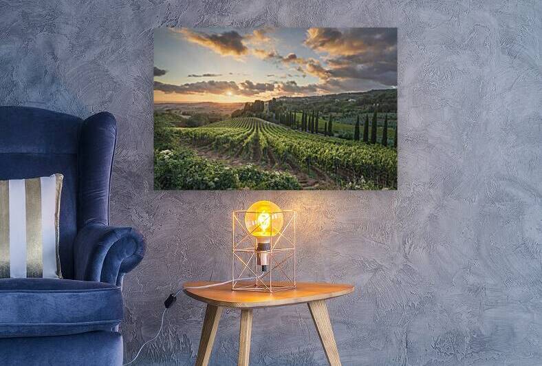 Vineyards at sunset in Tuscany by Stefano Orazzini