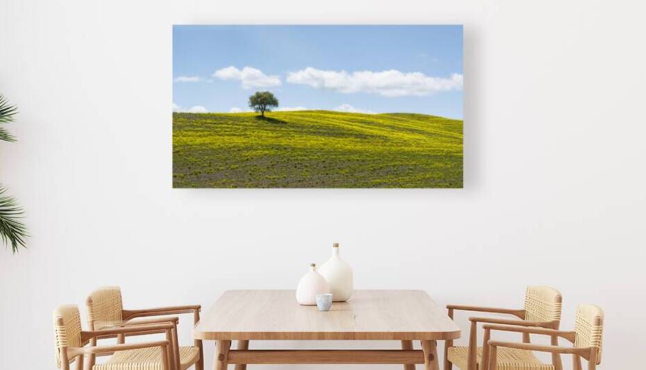 Lonely olive tree and flowers in Tuscany by Stefano Orazzini