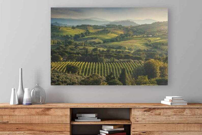 Landscape of the Morellino di Scansano vineyards by Stefano Orazzini