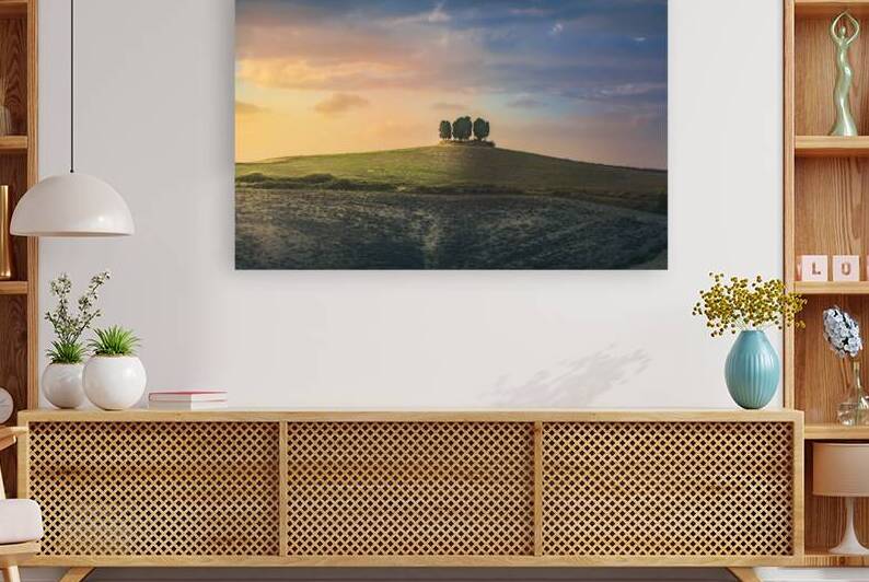 Cypress grove sunset by Stefano Orazzini
