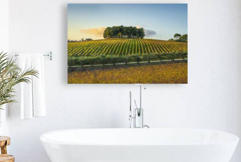 Chianti landscape trees and vineyards by Stefano Orazzini